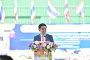 DIP
