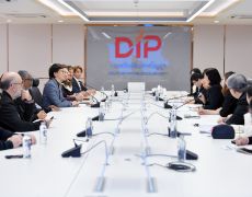 DIP