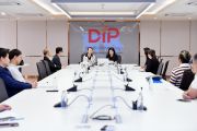 DIP