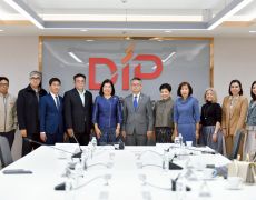 DIP