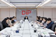 DIP